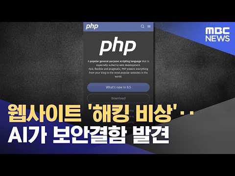 Website 'Hacking Alert'… AI Discovers Security Flaw (2026.10.22/News Today/MBC)