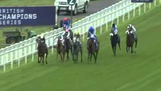 2012 Coral Eclipse -  Nathaniel