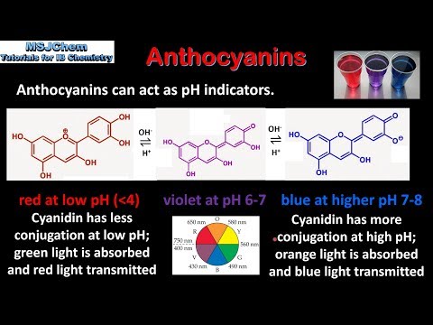 Video: Verschil Tussen Anthocyanin En Anthocyanidin