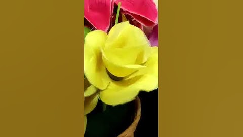 سورة القارعة؛القارئ همام عادل شاهين