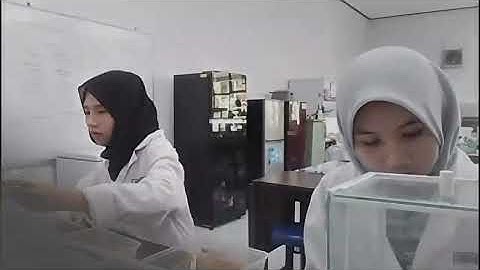 Penelitian Terapan DPPM UM 2025: BioD’Dyes