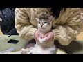 おねえちゃんの教育のたまもの