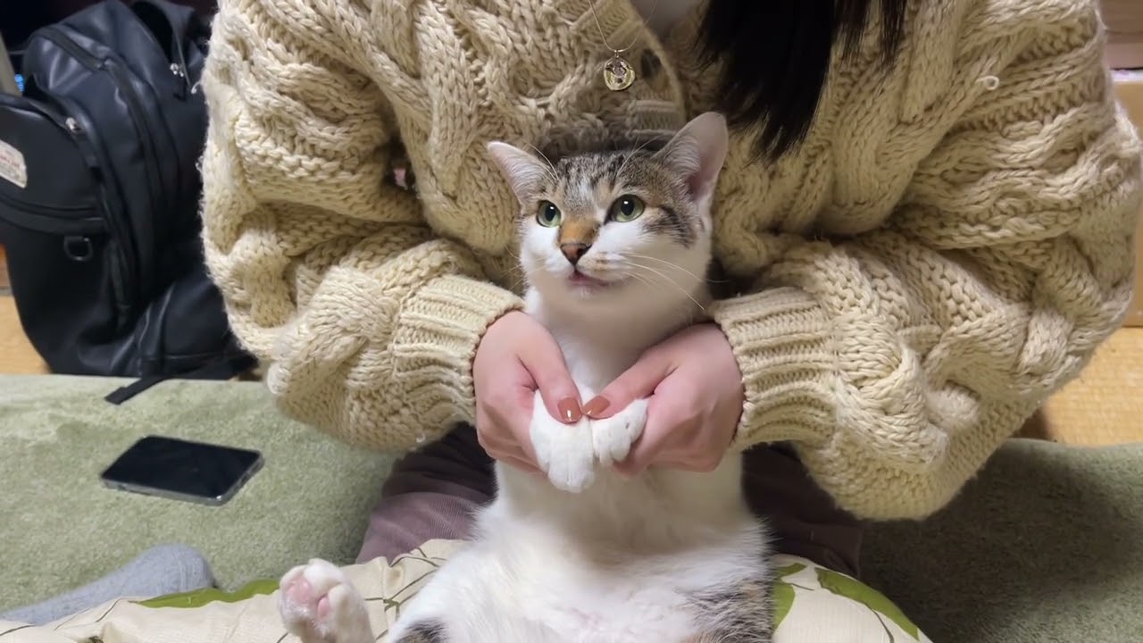 おねえちゃんの教育のたまもの