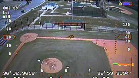 QAV250 and the Vector