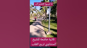 تلاوة للشيخ المنشاوي خاشعة تريح القلب