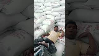 Download Lagu Por lapor ketua MP3