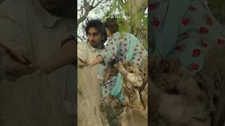 The Cutest Duo Everhamza Sohail Sajal Ali Zpkb Edit