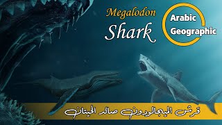 قرش الميجالودون megalodon shark | الحيوانات والحياة البرية