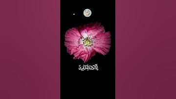 القرآن الكريم | سورة الآنسان | للقارئ سالم  الرويلي | تلآوة خاشعة جميلة جدآ😌❤ | حالات واتس اب