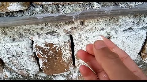 Efflorescence| what are causes| solutions