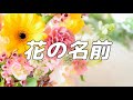 【合唱曲】花の名前 / 混声三部合唱【歌詞付き】