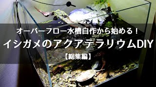 【総集編】水槽から作る水棲亀（イシガメ）のオーバーフロー・アクアテラリウム