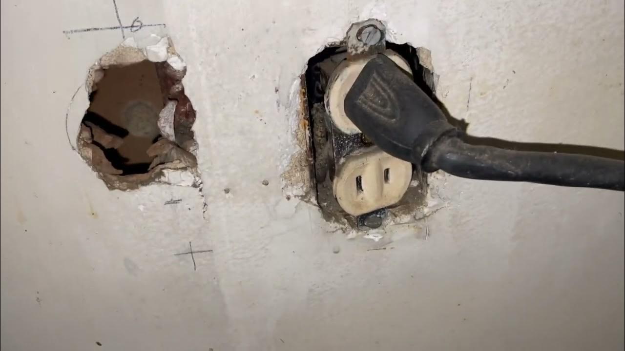 Major Mouse Infestation Behind the Stove YouTube