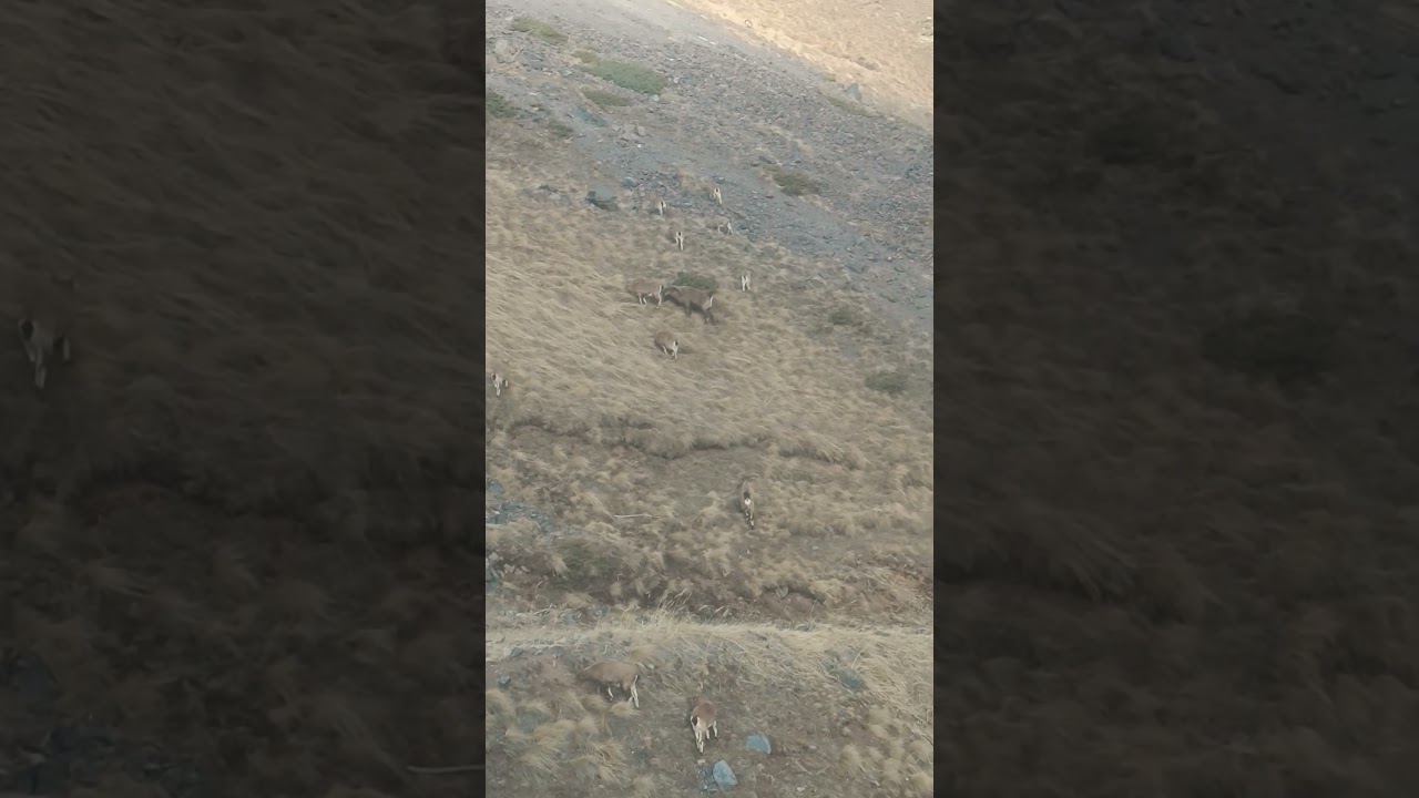 эльбрус природа во всей красе 