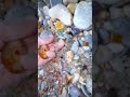 The Hidden Truth Behind "Pre-Cut" Beach Gems #beach #crystals #oceanpearl #satisfying