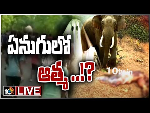 LIVE : శవంపై ఏనుగు దాడి .. ఏమై  ఉంటుంది..? | Elephant Incident in Odisha | 10TV - 10TVNEWSTELUGU