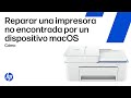 Arreglar una impresora que no se encuentra en macOS para impresoras HP | HP Support