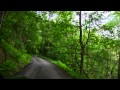 Download A Drive along the Little Shepherd Trail A Drive along the Little Shepherd Trail