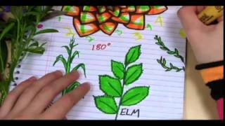 01   Spirals, Fibonacci and being a plant   03   Doodling in math  Spirals, Fibonacci, and being a p