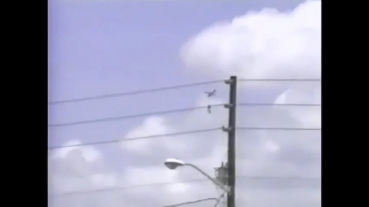 Plane Accident Of Carol OConnell