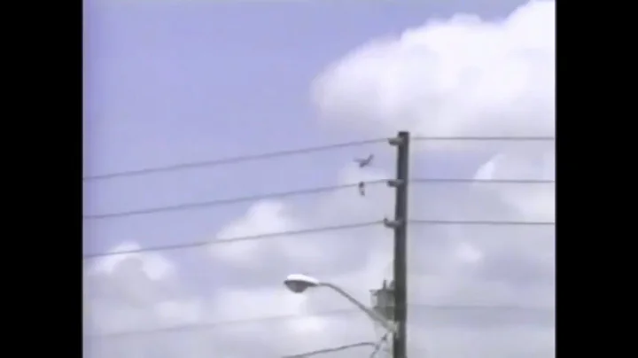 Plane Accident Of Carol OConnell