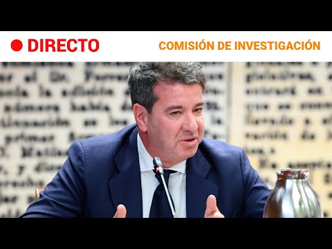 CASO KOLDO: Comparece el EXDIRECTOR de DESARROLLO de GLOBALIA, LISANDRO MENU-MARQUE