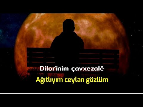 Dilorinim - Kürtçe Türkçe altyazılı ) #damar Edit ERSİN ERDEN