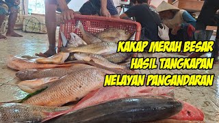Nelayan Pangandaran Hasil Tangkapan Dapat Ikan Kakap Merah Besar dan Cabuk Mahal