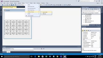 How to use format and tab order in VB.net 2015
