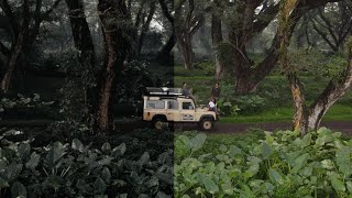 BEFORE / AFTER REELS ON KINE MASTER IN 2 MINUTES ?