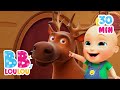 Dans Sa Maison Un Grand Cerf Chansons Ludiques Et éducatives Pour Les Enfants BB LouLou