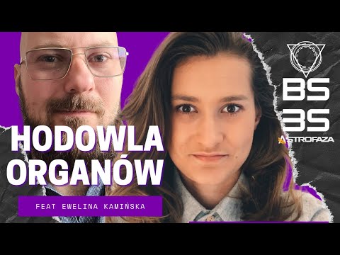 Wideo: Naukowcy Mogą Teraz „wszczepiać” Fałszywe Wspomnienia W Ludzkie Mózgi? - Alternatywny Widok