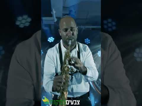 מרטיט בלב 👰 ניגון חופה מרגש ❤ ארבע בבות