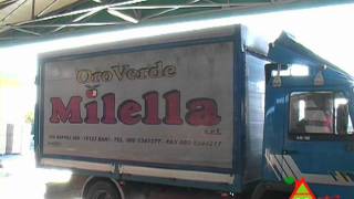 AGRIFULL - Oroverde Milella