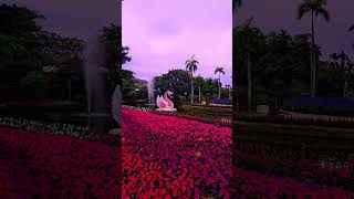 Partie 3/5 | Aujourd'hui : détente irréelle dans un parc thaïlandais #voyage #paysage #parc #fleurs