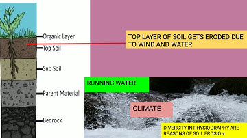 STD 7 Geography Soils (Part 4)