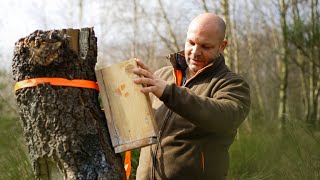 ALLTAG im REVIER als JÄGER | Teil 2 | Hochsitz Akademie