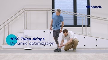 1C59 Taleo Adapt - Dynamic optimization | Ottobock Professionals