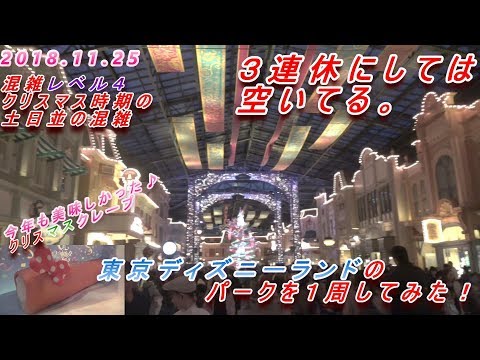 この週が狙い目 年末年始大混雑の東京ディズニーランド ディズニーシーの12月の混雑予想 ディズニークリスマス Youtube