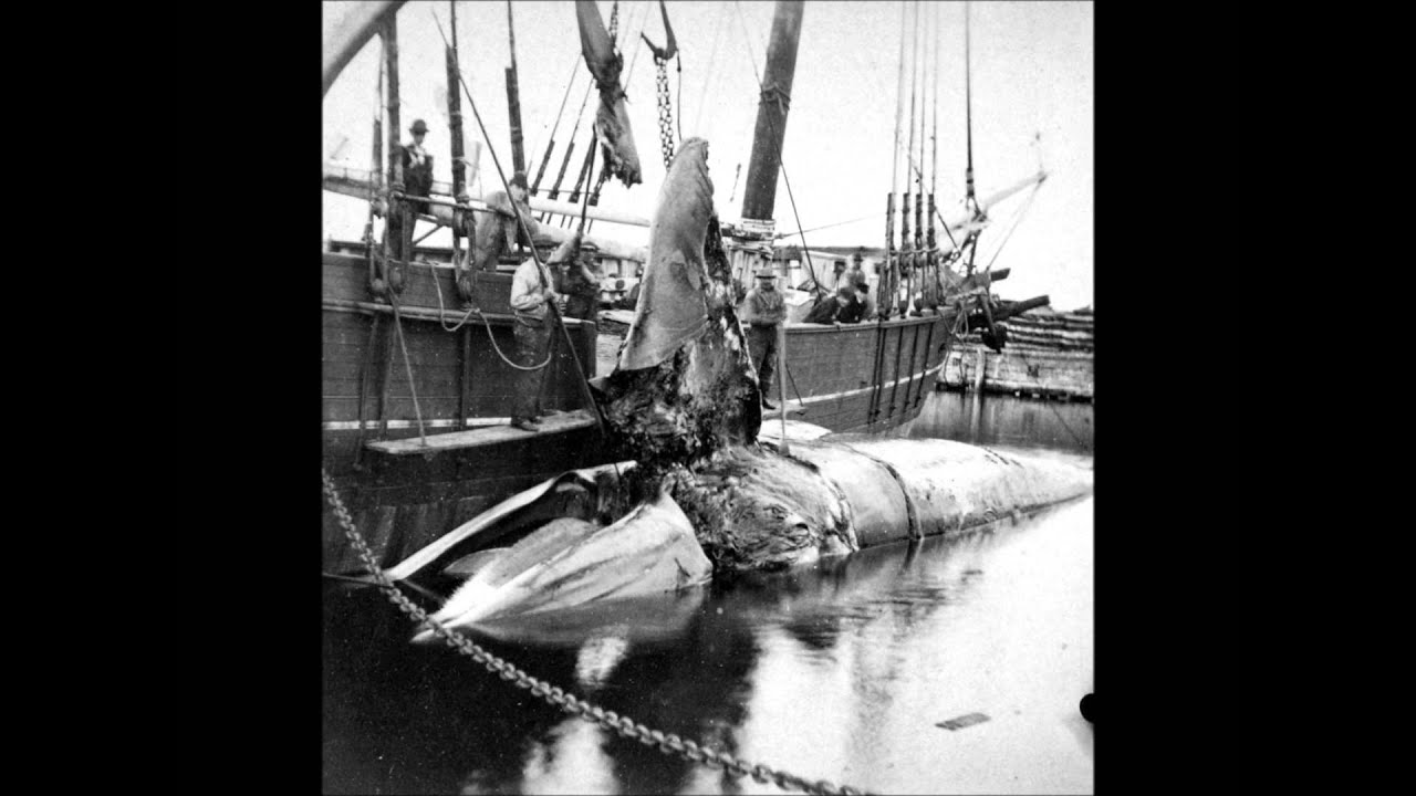 3D Photographs of Whaling Ships in Massachusetts Documentary (1800's