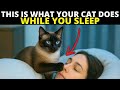 The One Strange Thing Your Cat Does Every Night While You Sleep (And It’s About You)