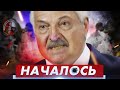 ЛУКАШЕНКО начал разделение Беларуси | Усы Лукашенко