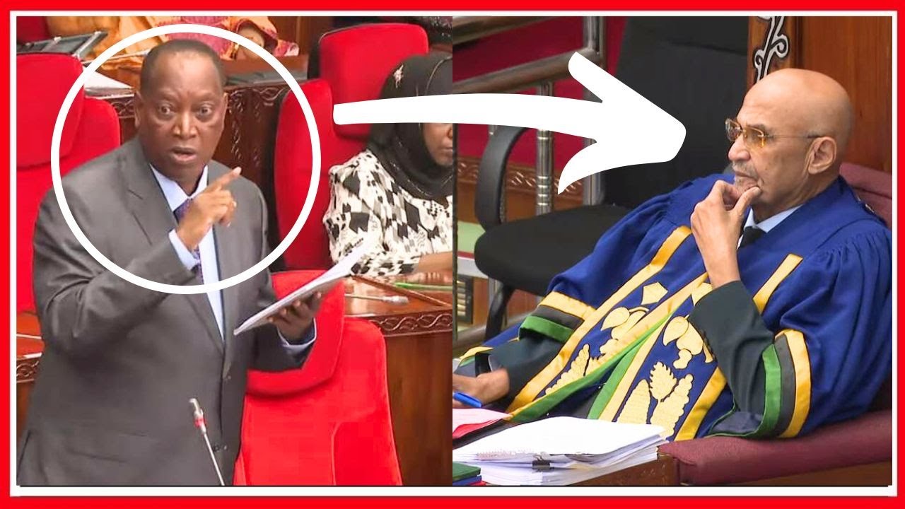 NONDO za PROFESA KABUDI ZAMFANYA NAIBU SPIKA ZUNGU AMCHOMOE ALIPOSIMAMA - ''TOKA HUKO - NJOO MBELE''