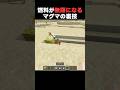 無限に燃料を手に入れる方法#shorts #マインクラフト #マイクラ