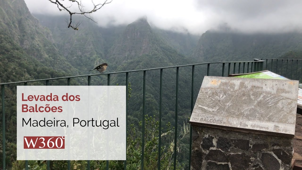 Levada dos Balcões - Madeira, Portugal