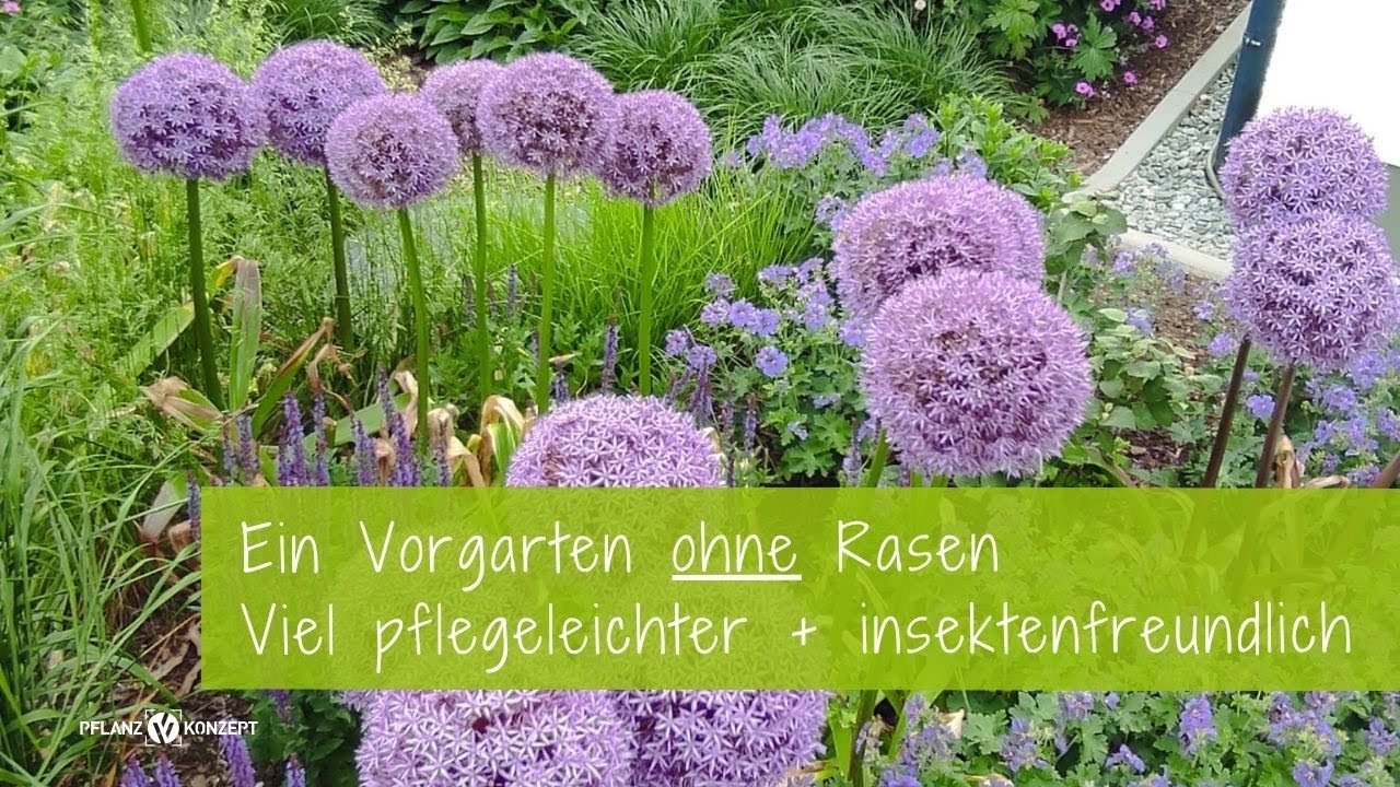 ohne Rasen Viel pflegeleichter und insektenfreundlich YouTube