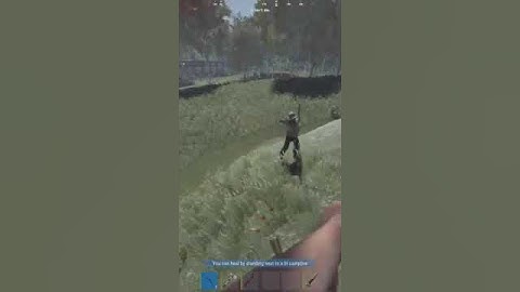 1v2 prim fight