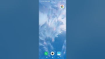 Internship at Exposys Data Lab in Web development