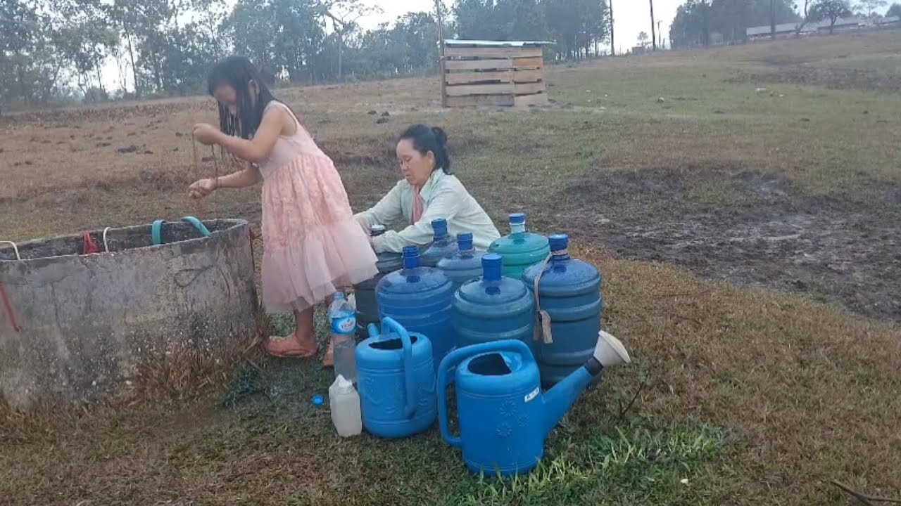 Hnub no ce peb tuaj ce dej haus 28 กุมภาพันธ์ ค.ศ. 2026