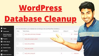 WordPress Database Cleanup - Chaliye Kachra Clear Karte Hai - Ok Ravi